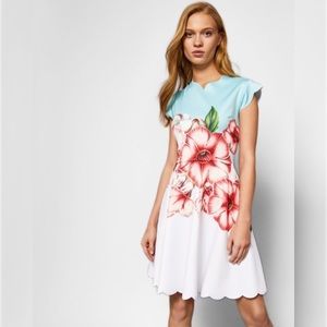Ted Baker Maevea Nectar Scalloped Skater Dress